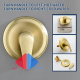Wall Mounted Round High Pressure Single Handle 10-Spray Hand Shower with Valve