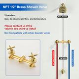 Bathroom Tub and Shower Set with 2-Handle Shower Valve & Trim Kit, 5-Spray Shower Head, Tub Spout with Diverter, Matte Black, Brushed Nickel, Brushed Gold