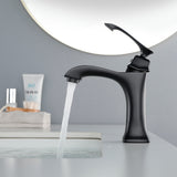 Single Hole Handle Vanity Faucet for RV Lavatory Vessel