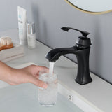 Single Hole Handle Vanity Faucet for RV Lavatory Vessel