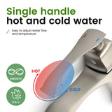 Single Hole Handle Vanity Faucet for RV Lavatory Vessel