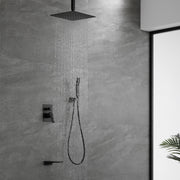 Ceiling Mounted Rain Shower System, Handheld Shower Head, 12