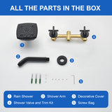 Two Handle Shower Faucet with 5 Inch Square 6-Spray Shower Head in Matte Black, Brushed Nickel, Brushed Gold