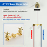 Two Handle Shower Faucet with 5 Inch Square 6-Spray Shower Head in Matte Black, Brushed Nickel, Brushed Gold