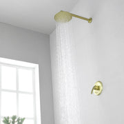 8"stainless steel shower head Round Shower Faucets Sets Complete, Single Function Shower trim kit 8-steel-shower-head-round-shower-faucets-sets-complete-single-function-shower 
