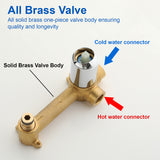 Two-Hole Wall Mount Faucet Vanity Brass Single Lever Washbasin Faucet with Hot Cold Water Mixer for Hotel Bathroom
