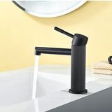 One hole basin faucet mixer with drain pop up single-lever lavatory sink faucet with aerator, 1.2GPM