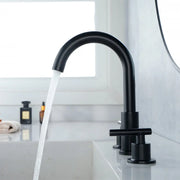 Two Handle High Arc Widespread Bathroom Sink Faucet 3 Hole with Pop-Up Drain and Water Supply Lines two-handle-high-arc-widespread-bathroom-sink-faucet-3-hole-with-pop-up-drain-and-water-supply-lines 