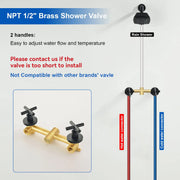 Two Handle Shower Faucet with 5 Inch Square 5-Spray Shower Head in Matte Black, Brushed Nickel, Brushed Gold two-handle-shower-faucet-with-5-inch-square-6-spray-shower-head-in-matte-black-brushed-nickel-brushed-gold 