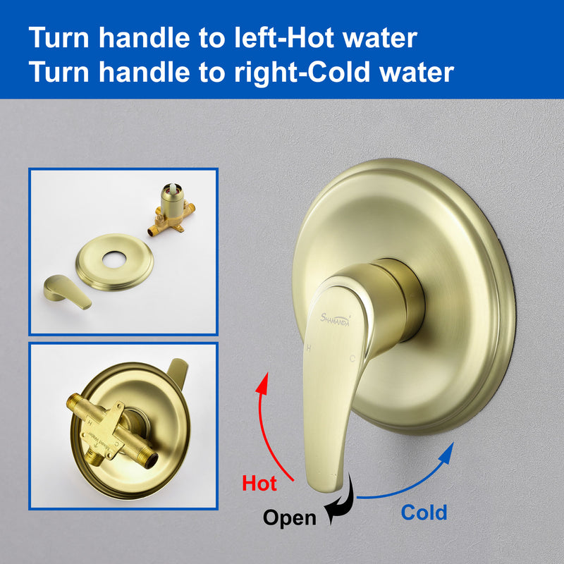8"stainless steel shower head Round Shower Faucets Sets Complete, Single Function Shower trim kit